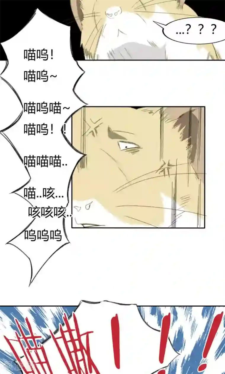 掌心女神第15话