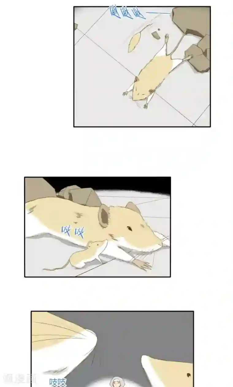 掌心女神第15话