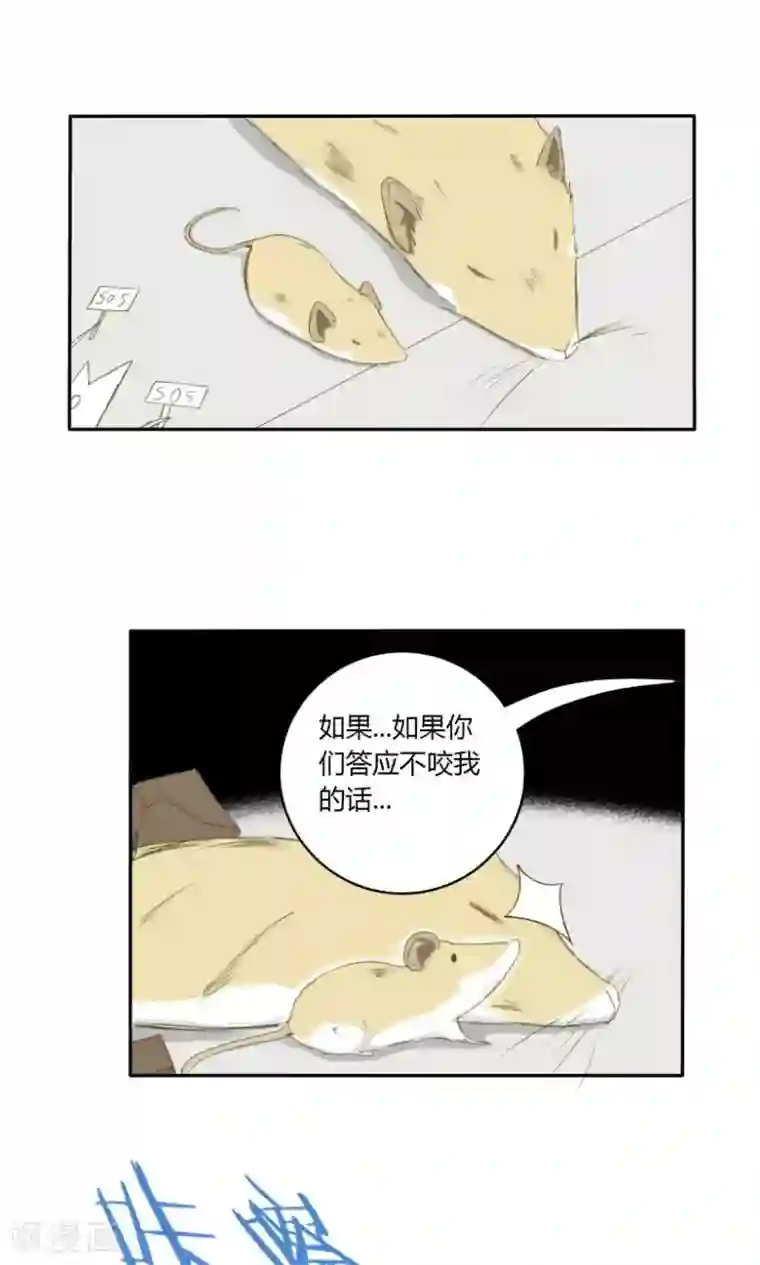 掌心女神第15话