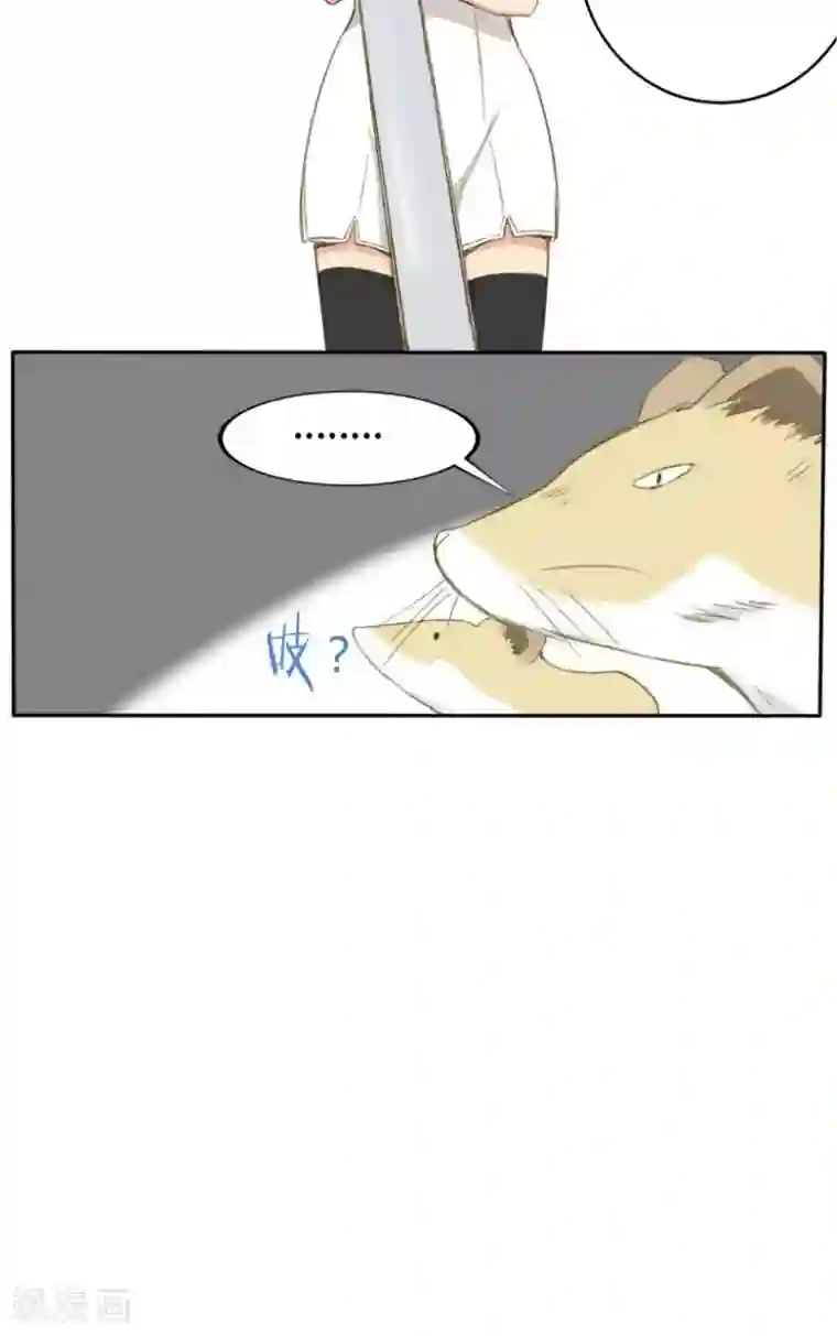 掌心女神第15话