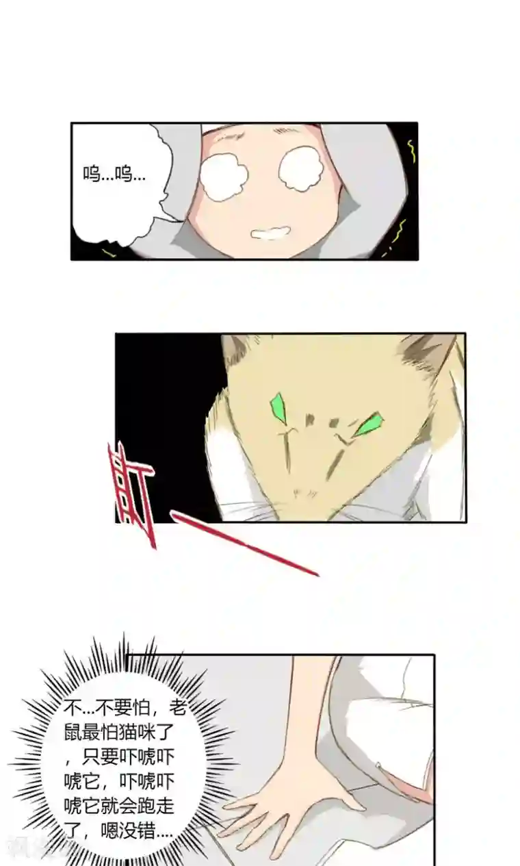 掌心女神第15话