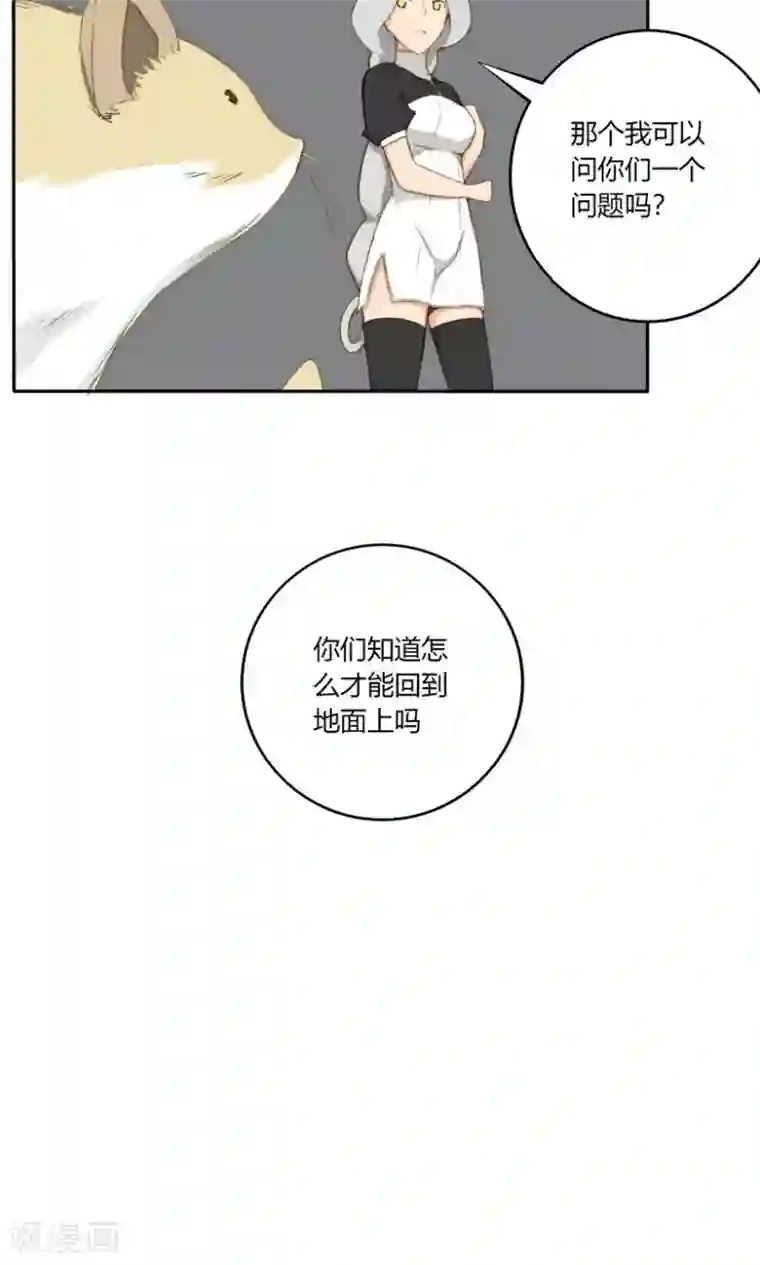 掌心女神第16话