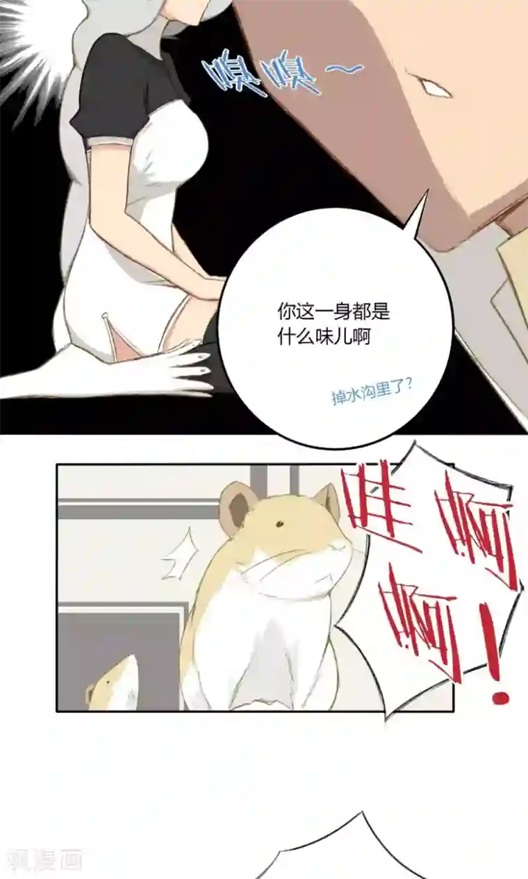 掌心女神第17话