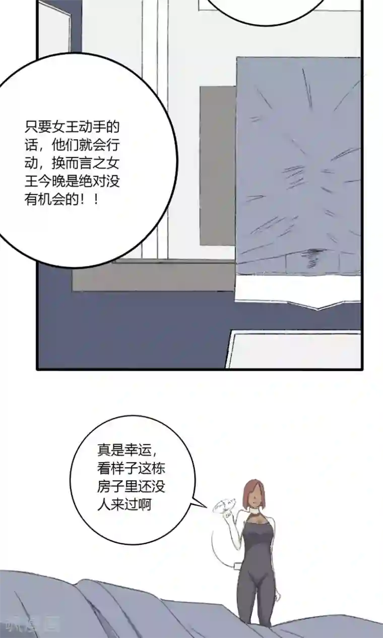 掌心女神第28话