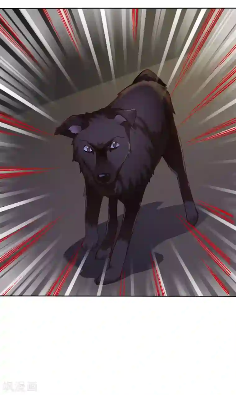 爱情练习生第92话 番外：校规下的浪漫2