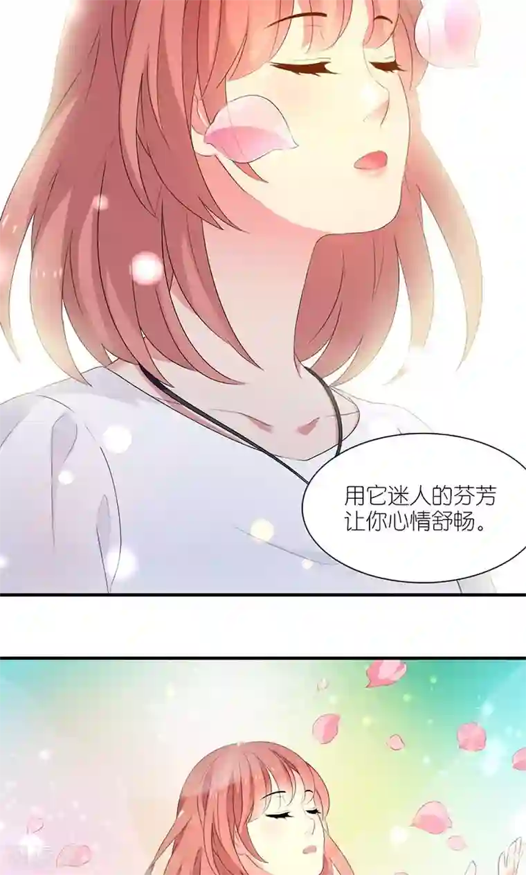 花仙莫尼第3话 女神莫尼2