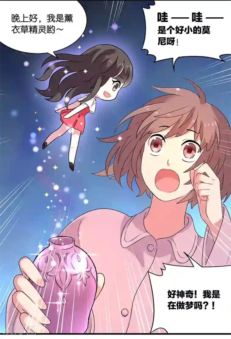 花仙莫尼第6话 薰衣草之眠3