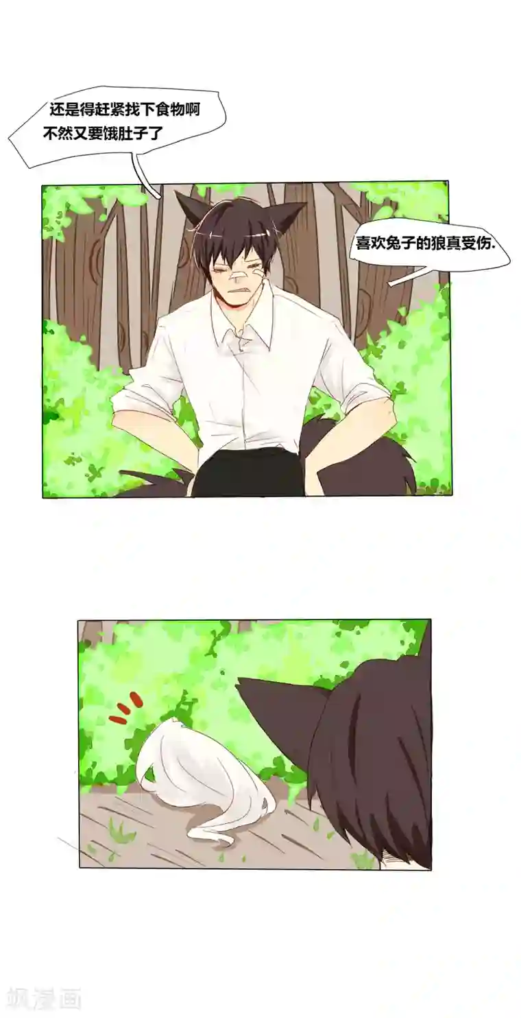 似兔非兔第1话 相遇