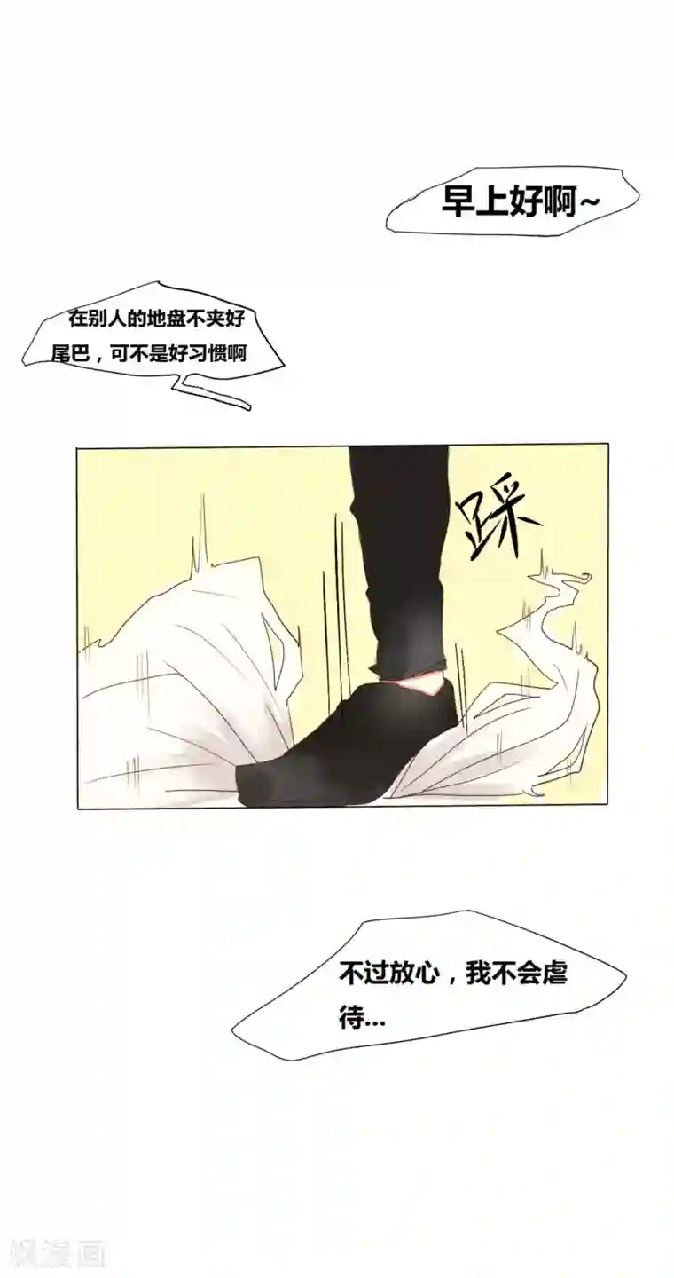 似兔非兔第1话 相遇