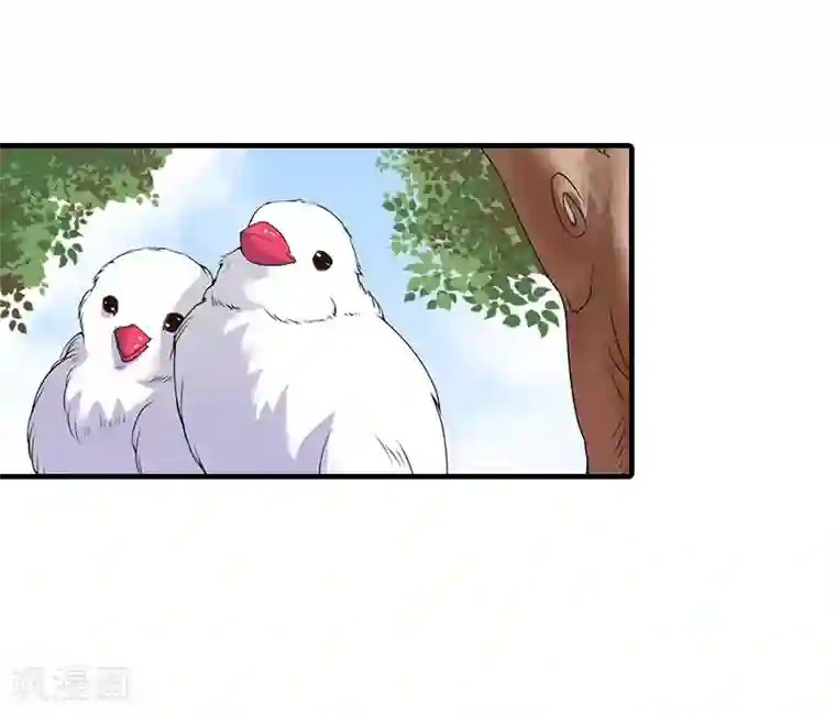 深爱入骨：独占第一冷少第8话 曾经的美好