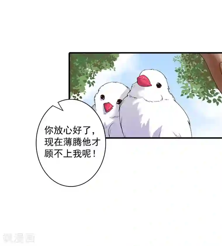 深爱入骨：独占第一冷少第12话 不能受太大的刺激