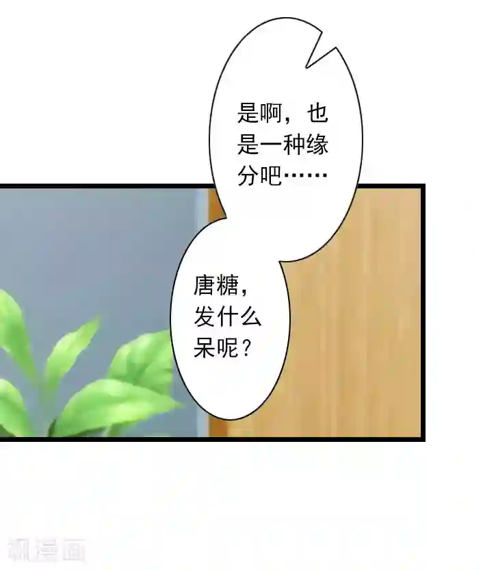 深爱入骨：独占第一冷少第32话 你把薄腾还给我