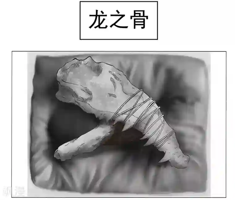 挑战者还是空想家第2话 龙存在的证据