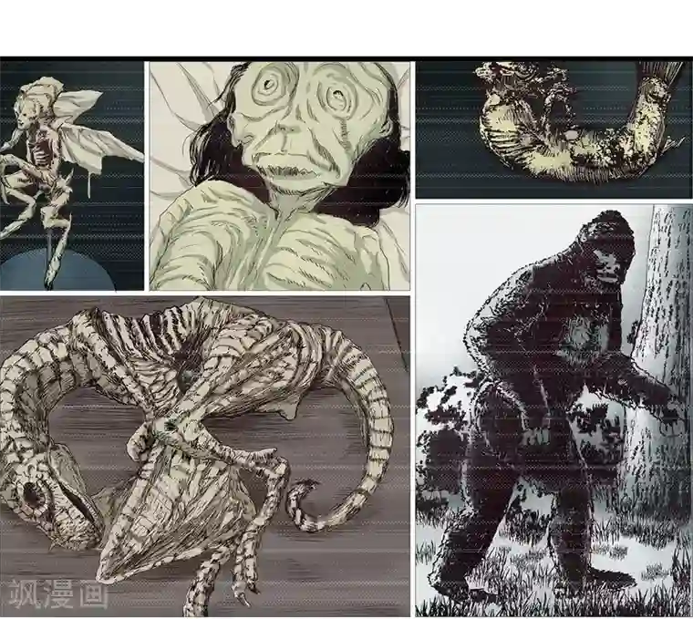 挑战者还是空想家第2话 龙存在的证据