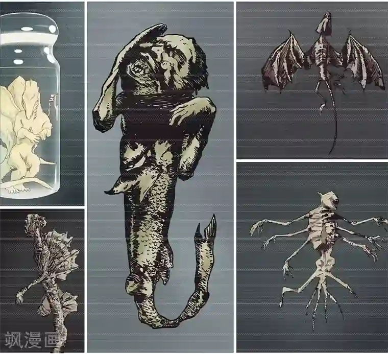 挑战者还是空想家第2话 龙存在的证据