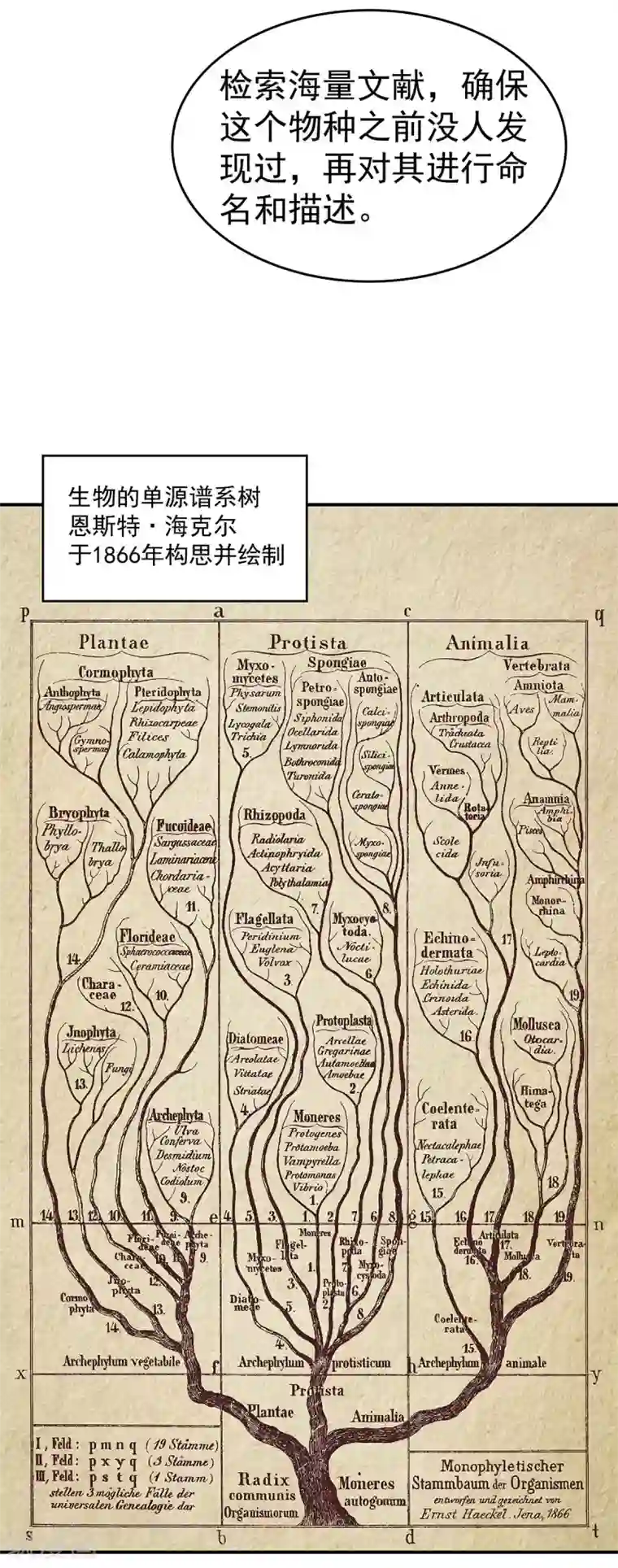 挑战者还是空想家第2话 龙存在的证据