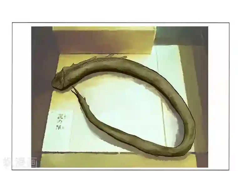 挑战者还是空想家第2话 龙存在的证据