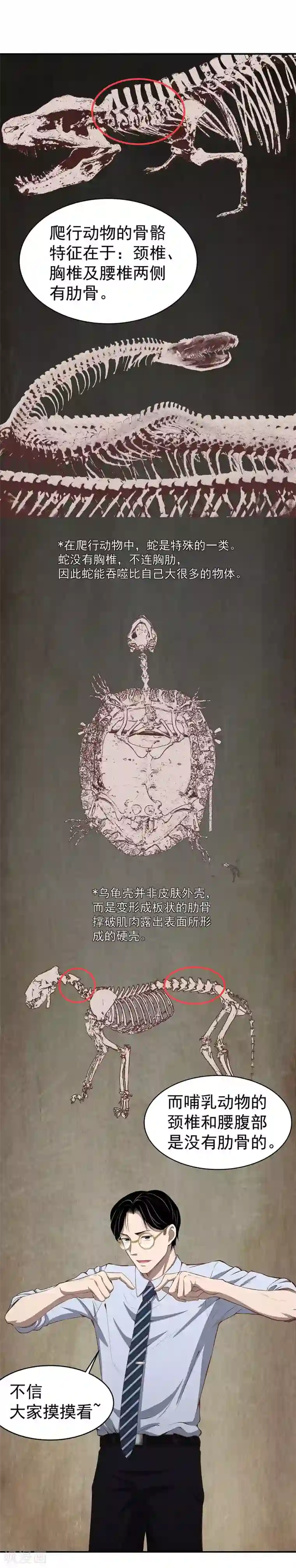 挑战者还是空想家第3话 营口坠龙事件