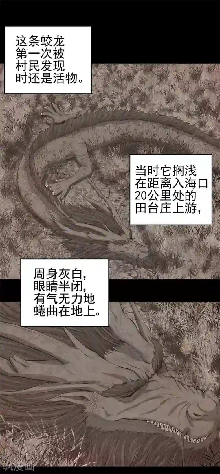 挑战者还是空想家第3话 营口坠龙事件