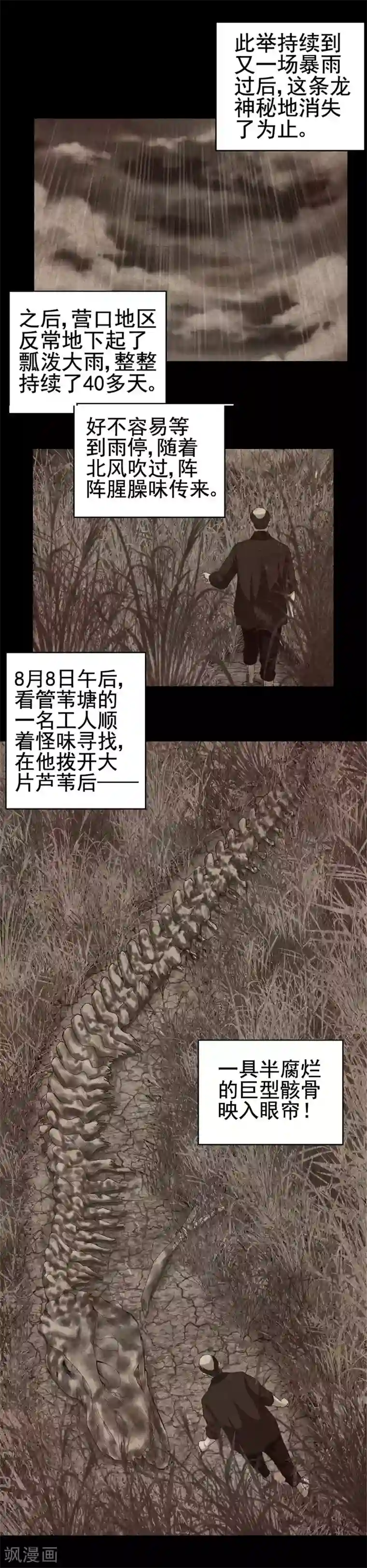 挑战者还是空想家第3话 营口坠龙事件