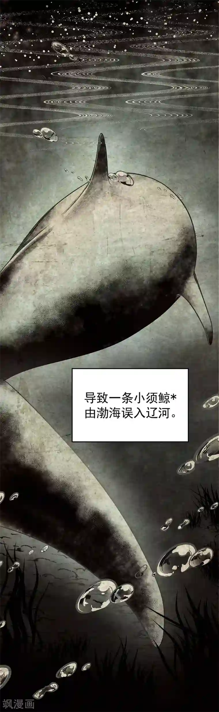 挑战者还是空想家第4话 有去无回的旅途