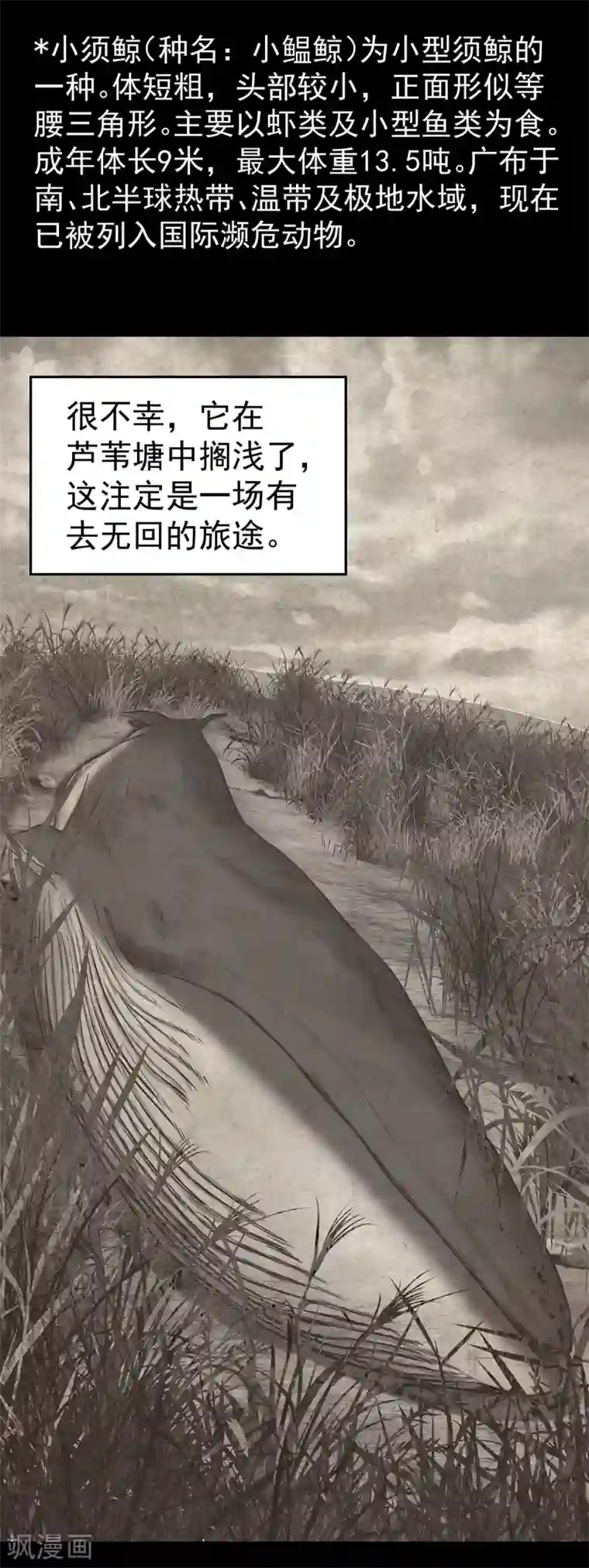 挑战者还是空想家第4话 有去无回的旅途