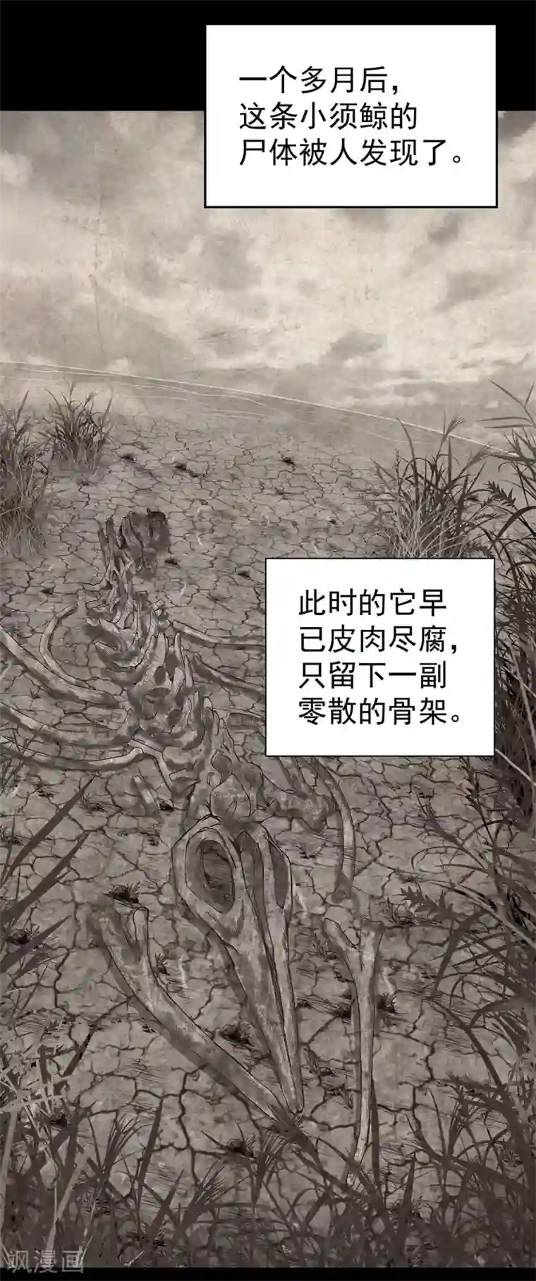 挑战者还是空想家第4话 有去无回的旅途