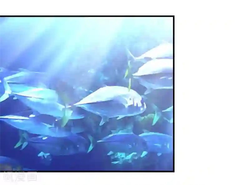 挑战者还是空想家第13话 水中魅影