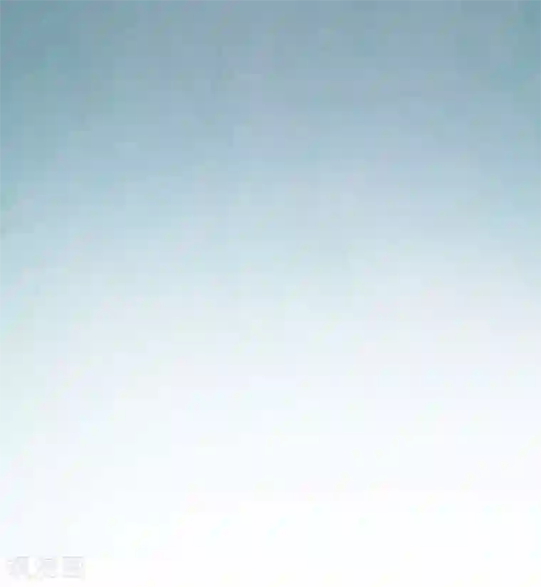 挑战者还是空想家第19话 头在哪里