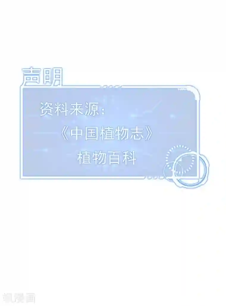 挑战者还是空想家第19话 头在哪里