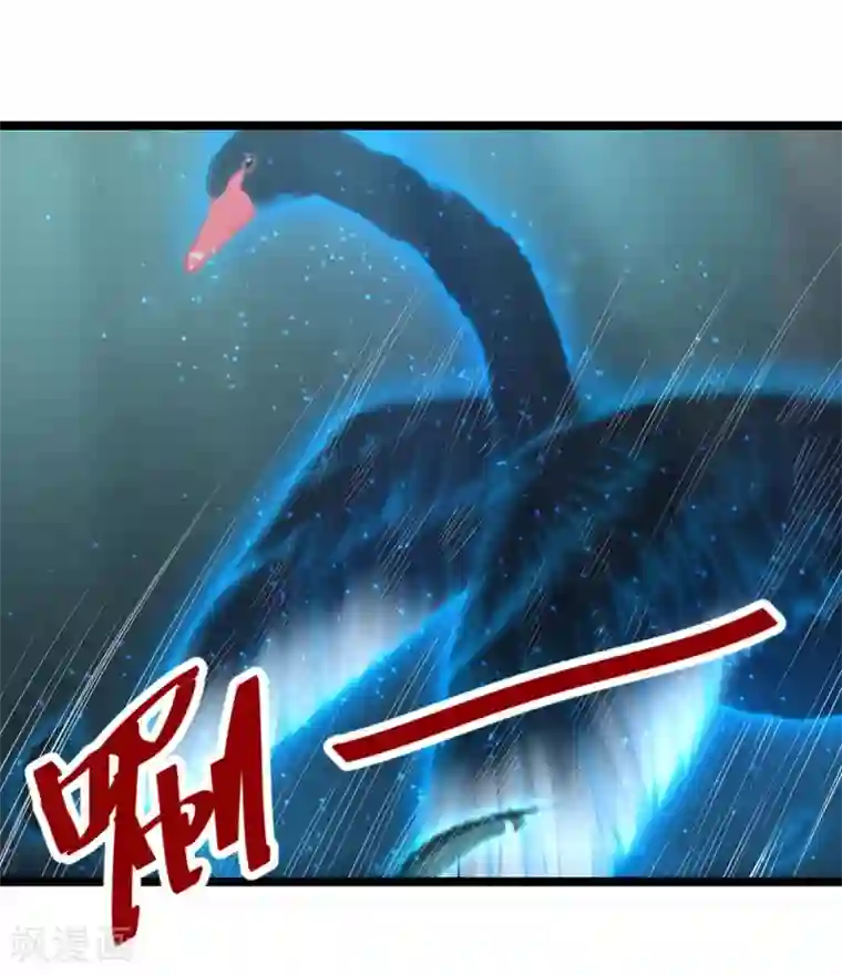 挑战者还是空想家第20话 黑天鹅