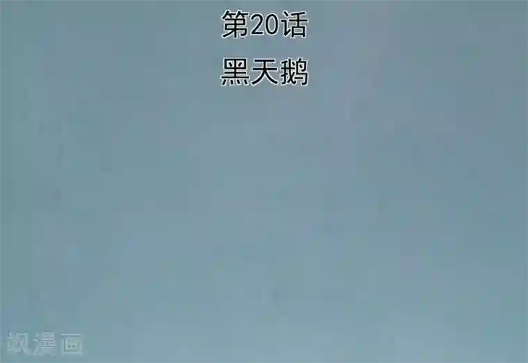 挑战者还是空想家第20话 黑天鹅