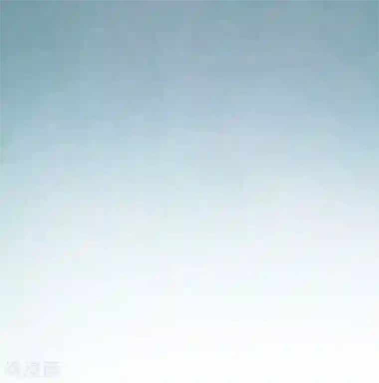 挑战者还是空想家第20话 黑天鹅