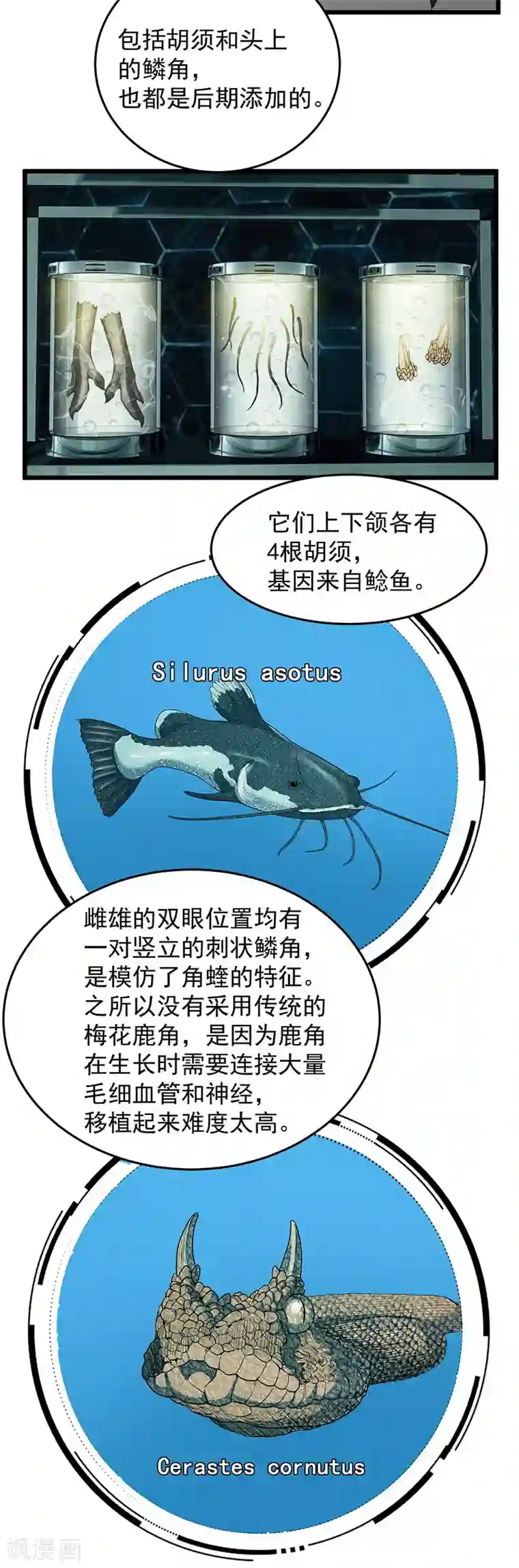 挑战者还是空想家第36话 你会崇拜飞机吗？