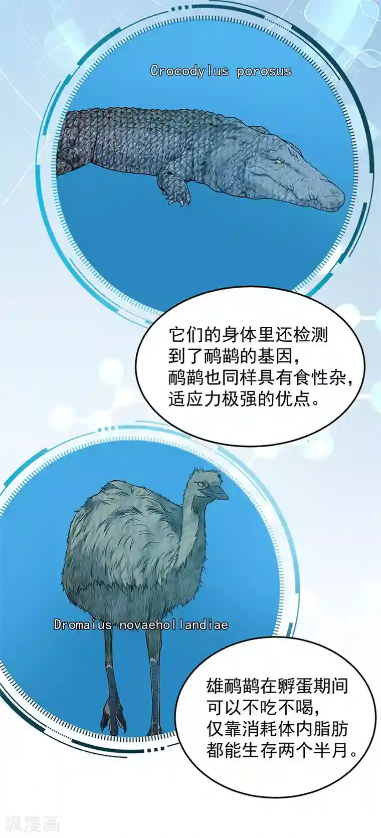 挑战者还是空想家第36话 你会崇拜飞机吗？