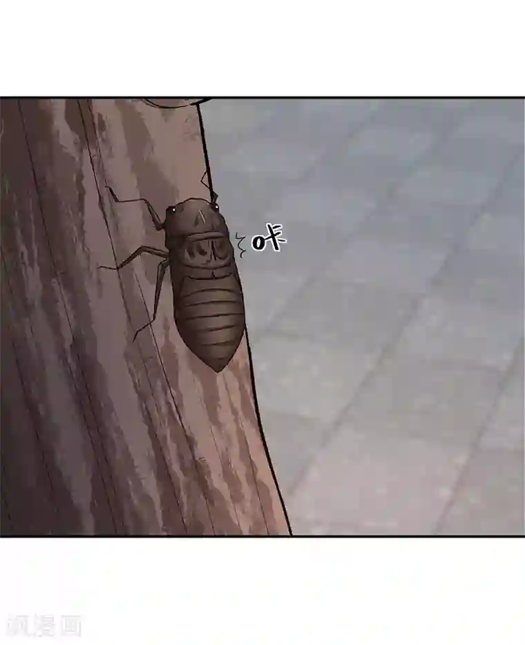 整容手札第16话 美容针7