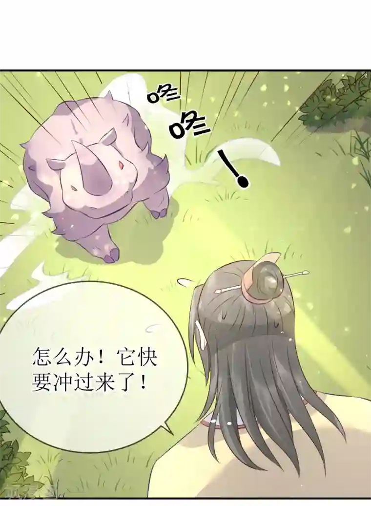 龙王妃子不好当第110话 真是个笨蛋！