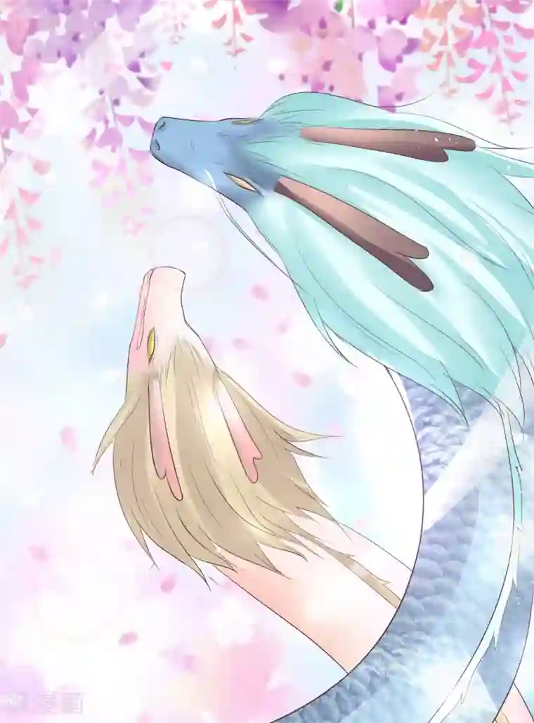 龙王妃子不好当第25话 元神相合