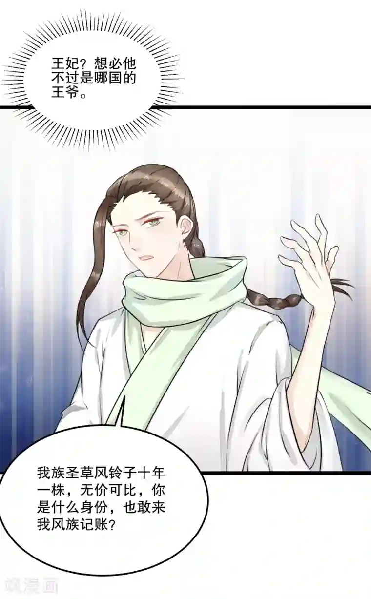 龙王妃子不好当第54话 风族