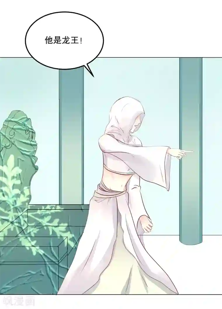 龙王妃子不好当第54话 风族