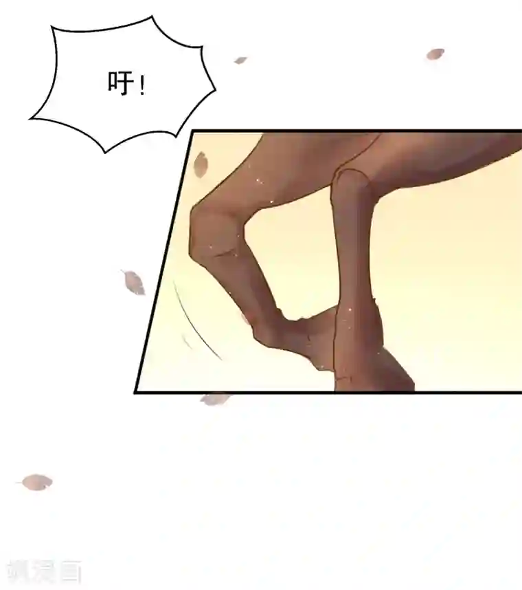 龙王妃子不好当第54话 风族