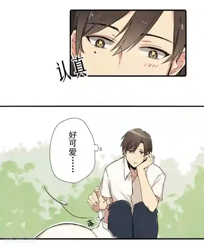 我想成为铲屎官第1话