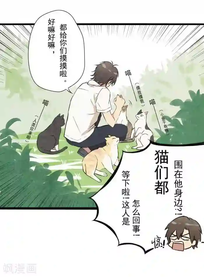 我想成为铲屎官第1话