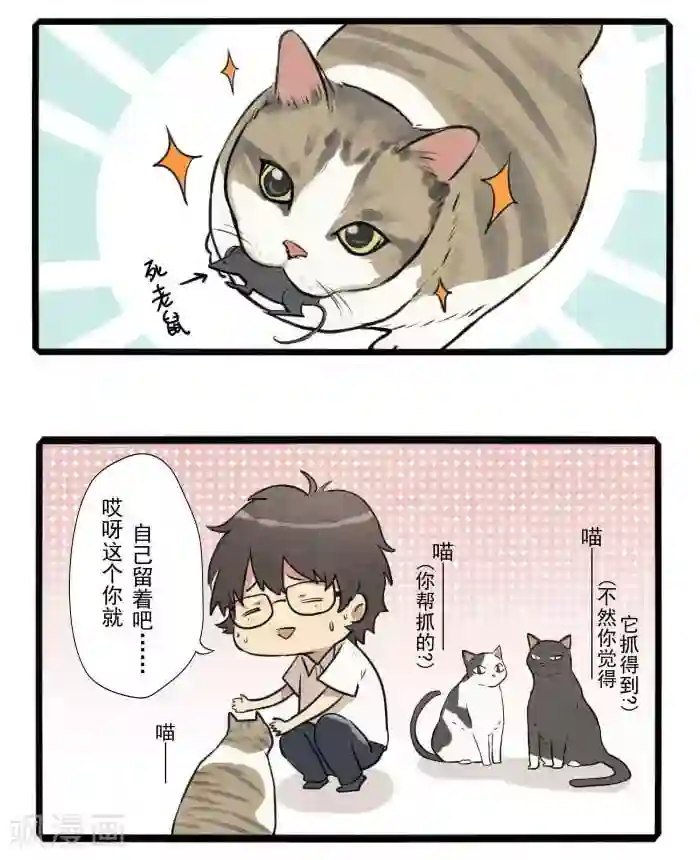 我想成为铲屎官第1话