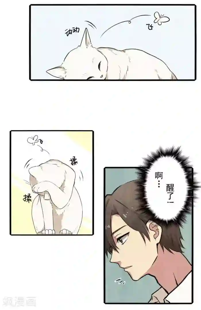 我想成为铲屎官第1话