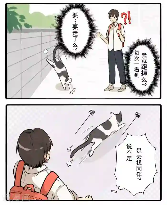 我想成为铲屎官第1话