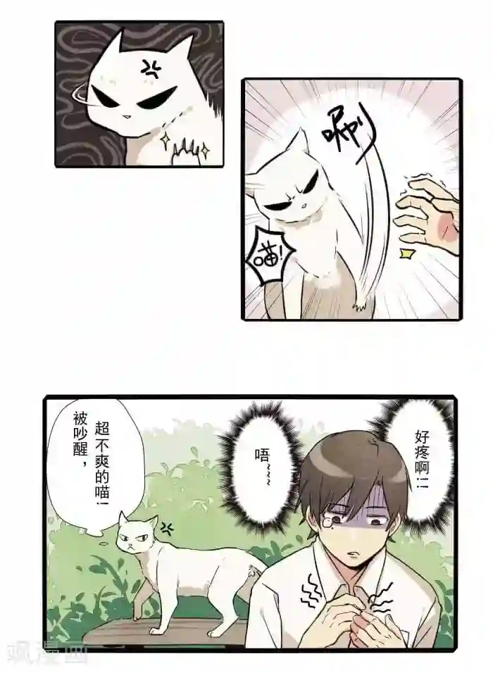 我想成为铲屎官第1话