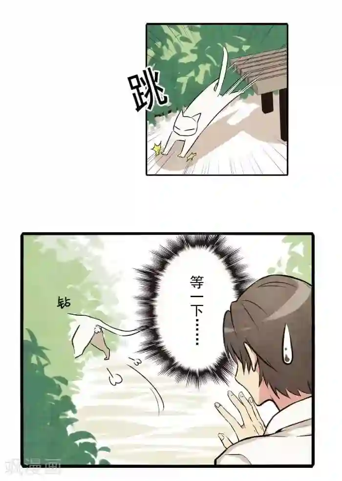 我想成为铲屎官第1话