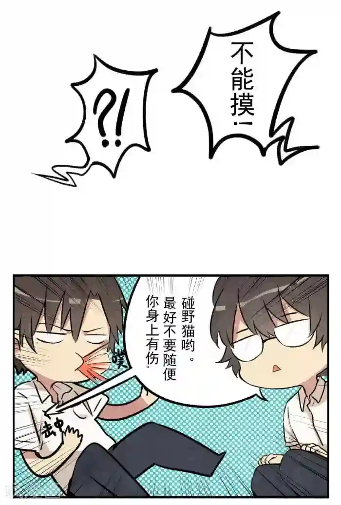 我想成为铲屎官第2话