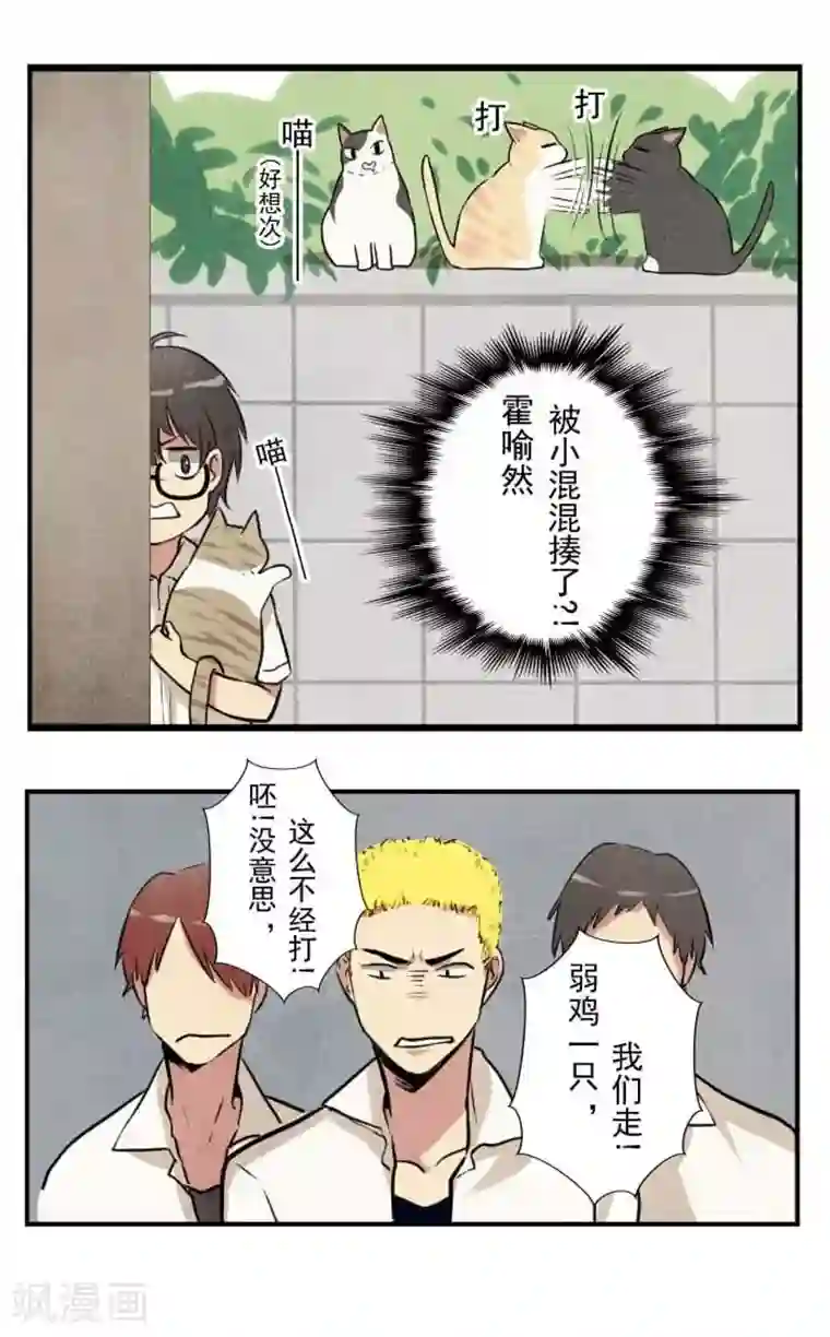 我想成为铲屎官第2话